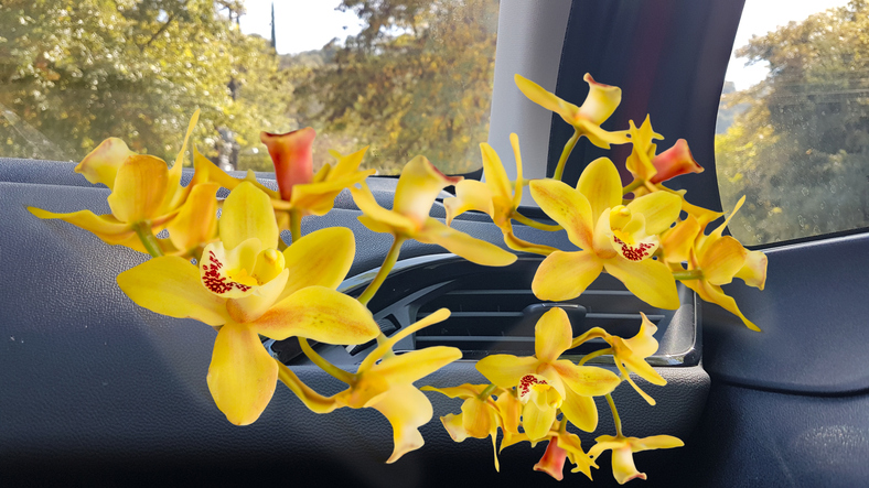 ar condicionado no carro com flores amarelas animadas a sair do mesmo
